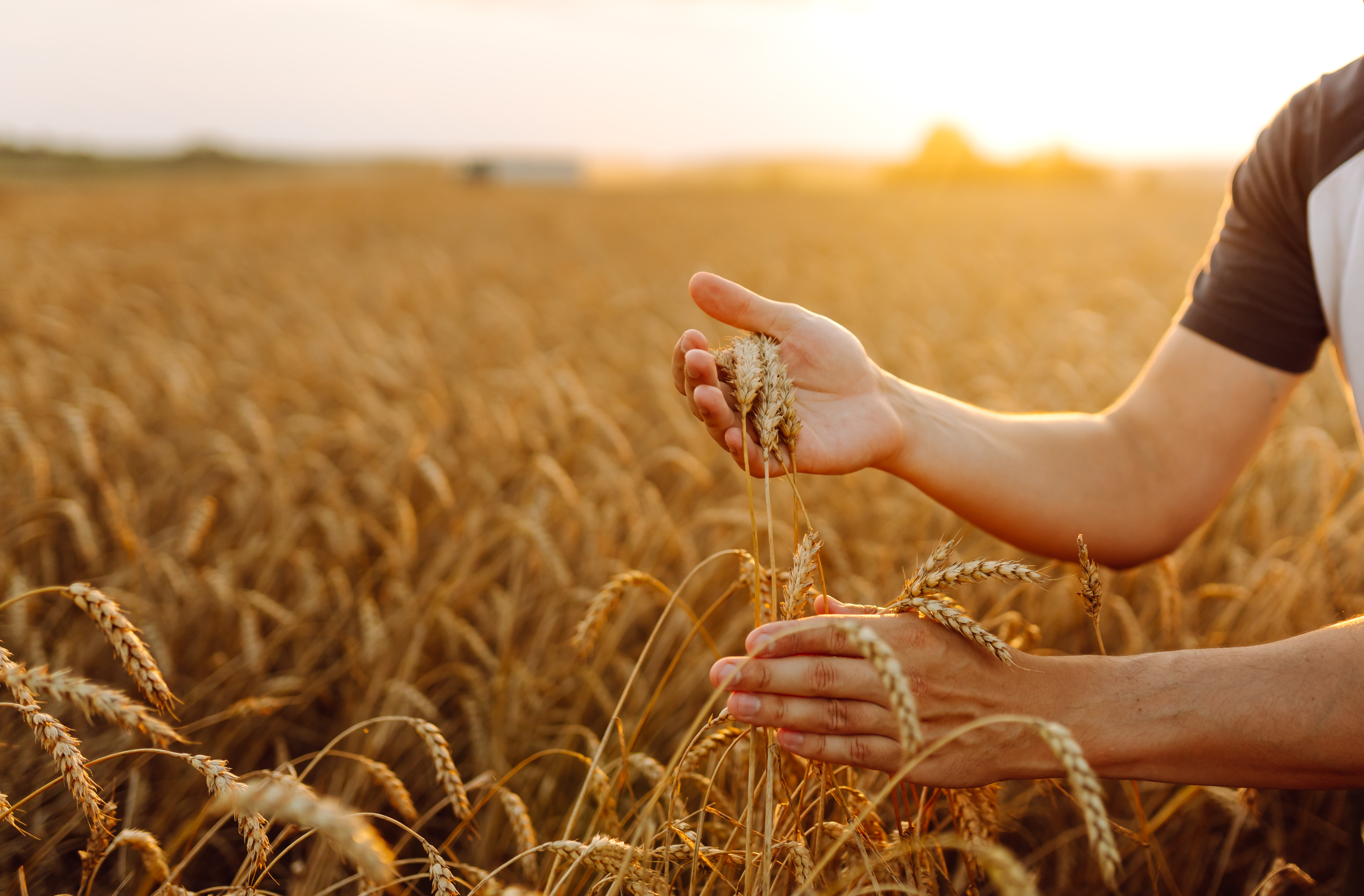 Climate Risk Management